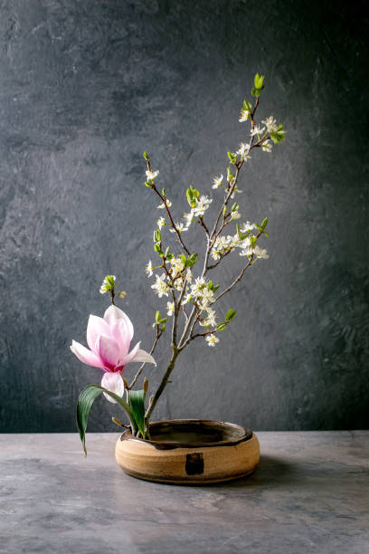 Japanese Ikebana Arrangements